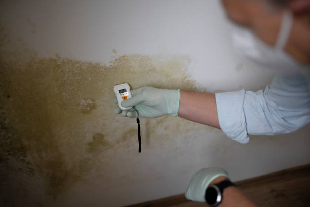 Water Damage Restoration in Homestead Meadows South, TX